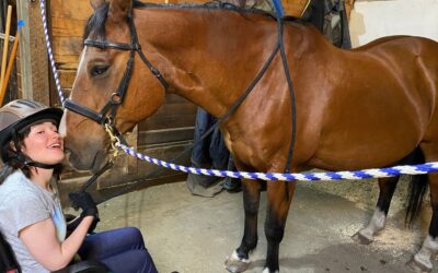 Horse Riding Lessons